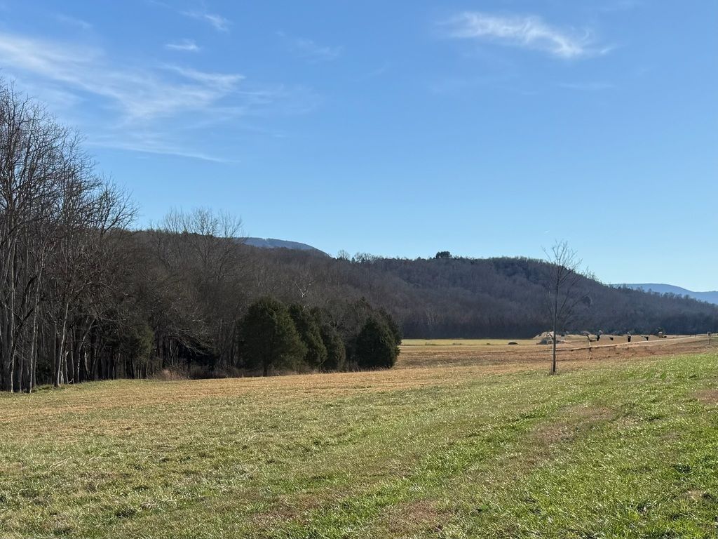 Open grassy field with trees and hills under a blue sky