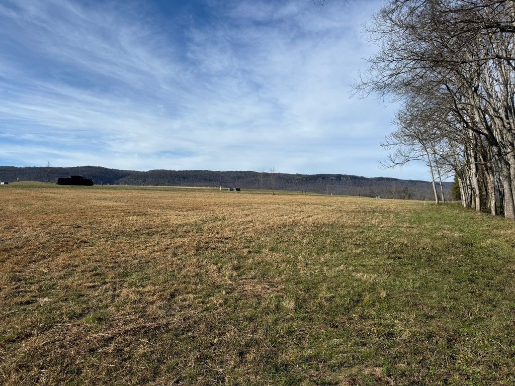Open field under a blue sky, with trees lining the right side and distant hills on the horizon.