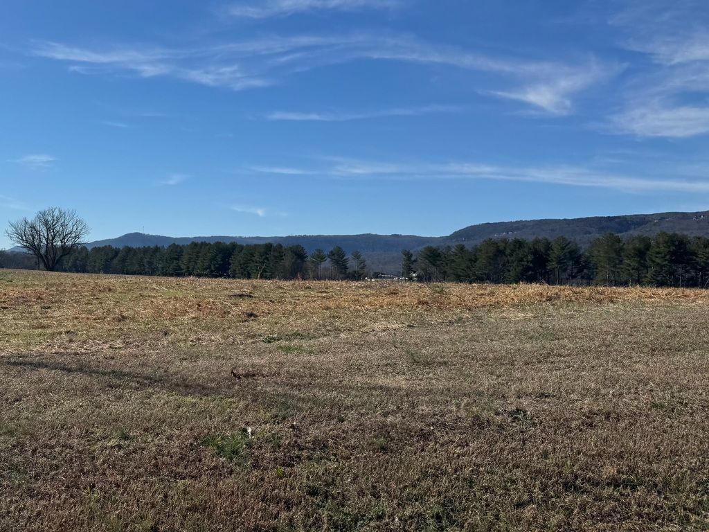Open field with dry grass under a clear blue sky, hills and trees in the distance