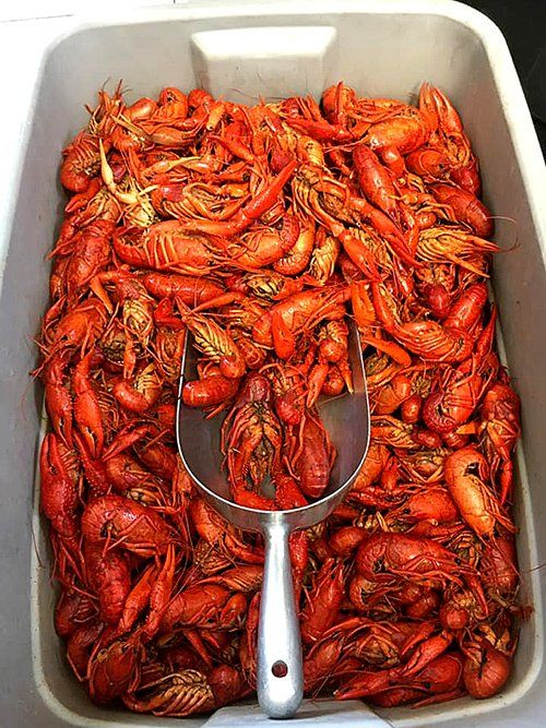 seafood
