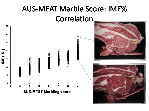 Wagyu Data Table