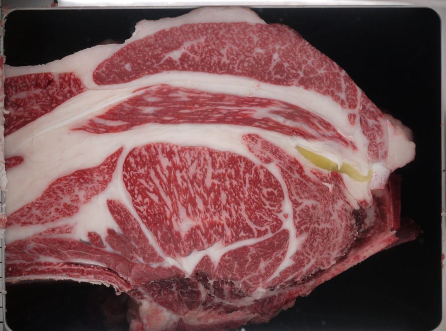 B901-sired carcass