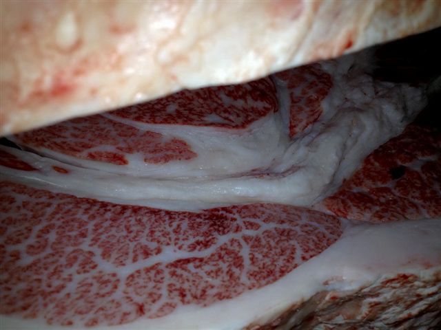 Japanese Beef Carcass