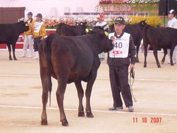 Hyogo Prefecture