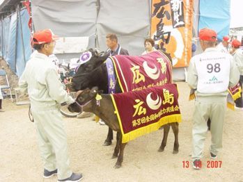 Hyogo Prefecture