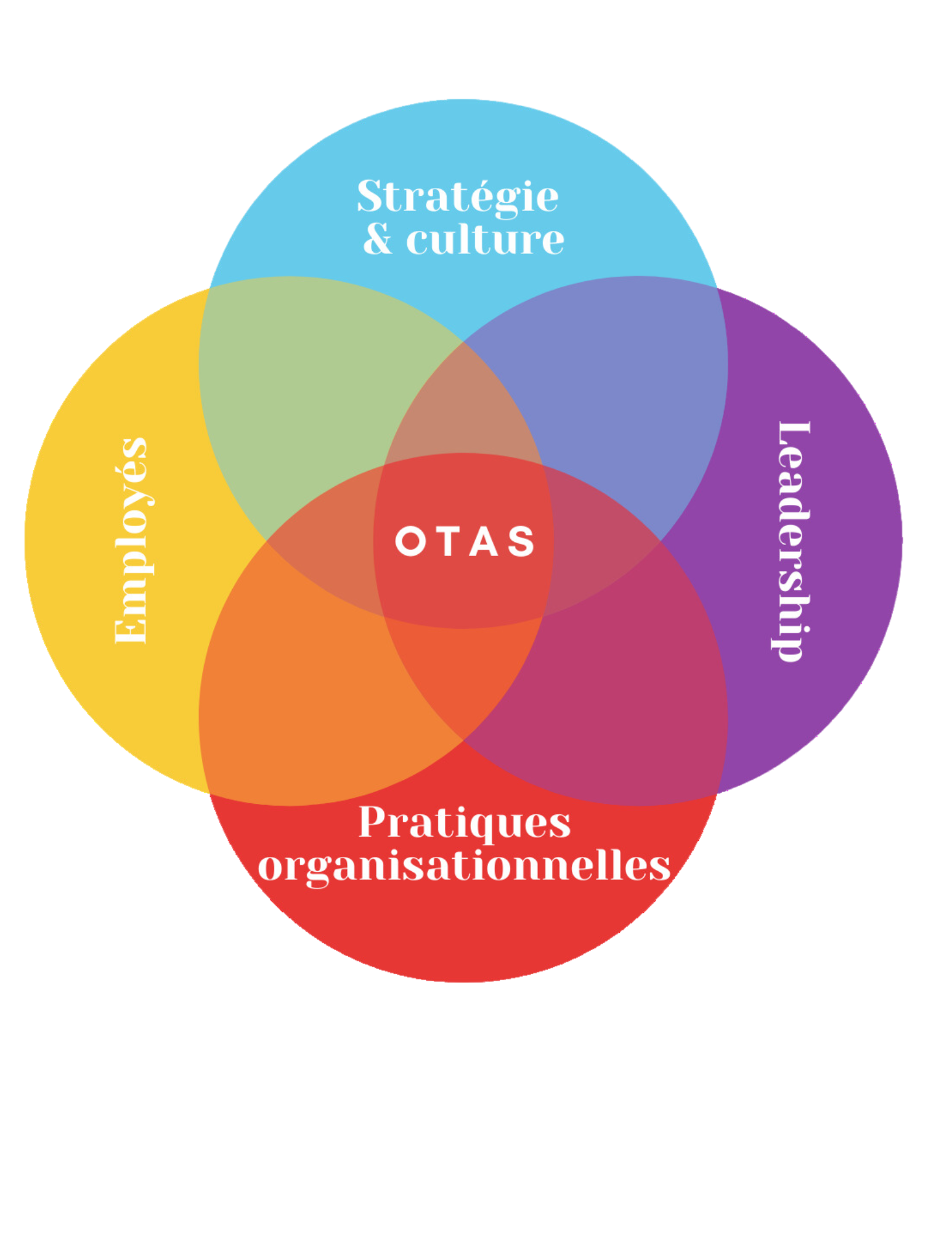 Un diagramme montrant les domaines de leadership des employés et de la culture