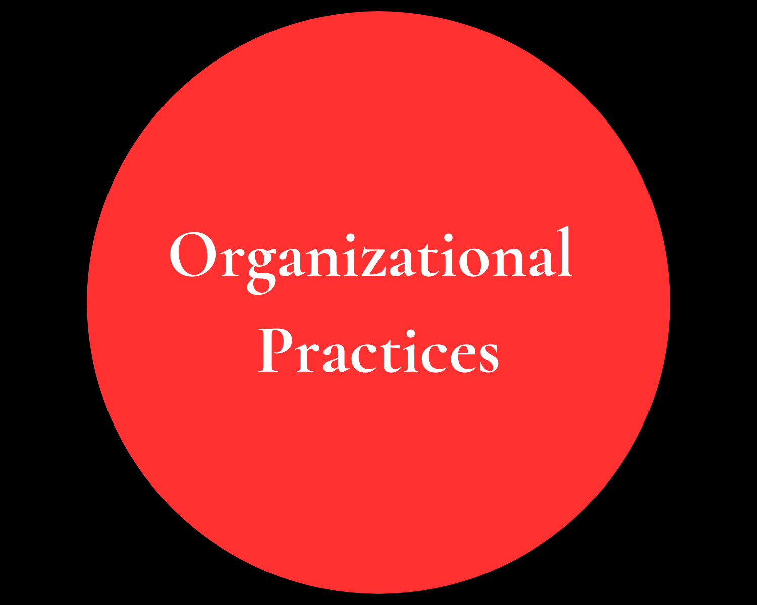 A red circle with the words organizational practices on it