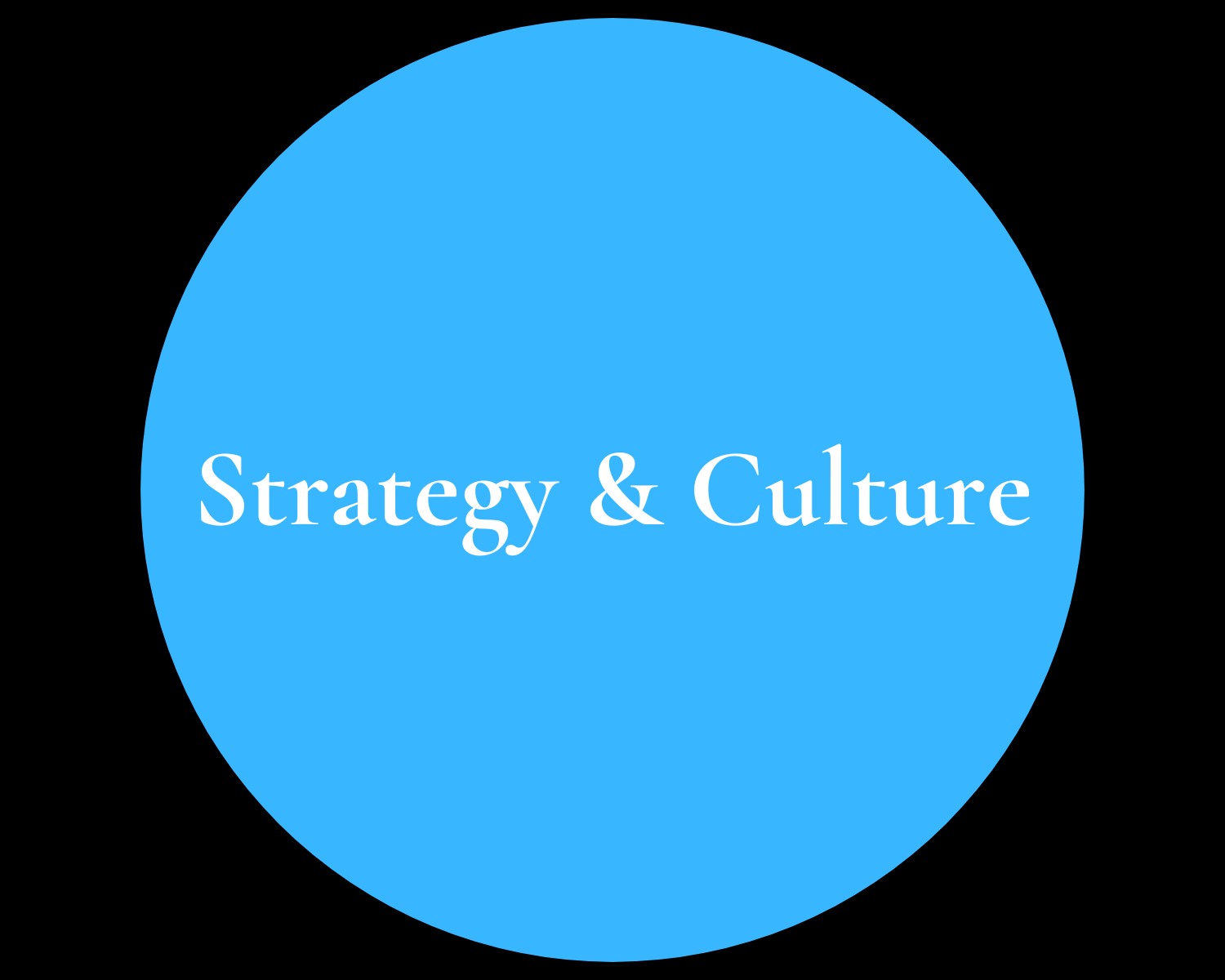 A blue circle with the words strategy and culture on it