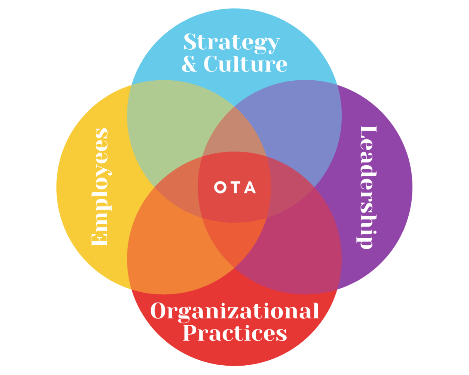 A diagram showing strategy and culture employees leadership and organizational practices