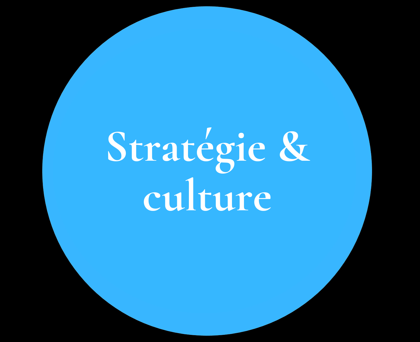 Un cercle bleu avec les mots stratégie et culture dessus