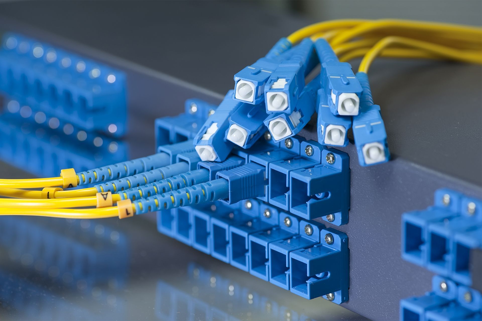 A bunch of blue and yellow wires are connected to a server