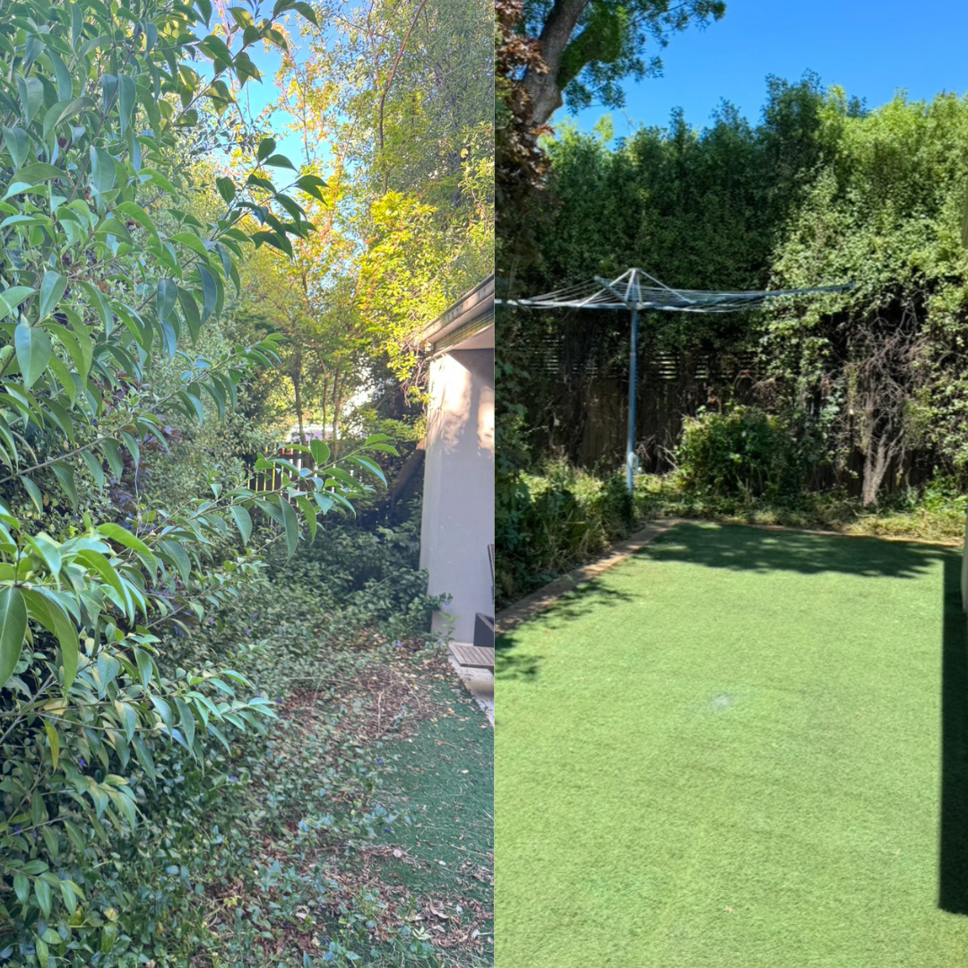 Before And After Of House Maintenance — CBR Maintenance In Queanbeyan, NSW