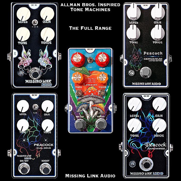Allman bros inspired tone machines the full range missing link audio