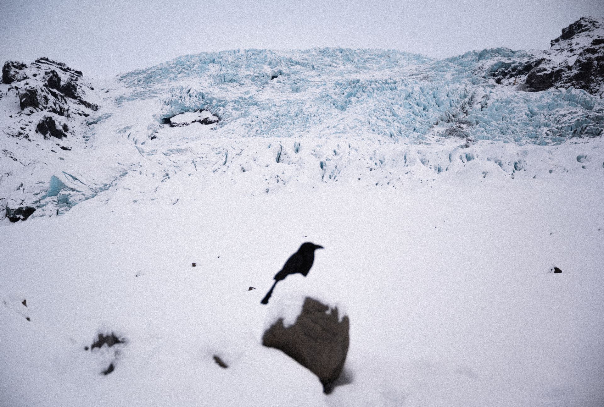 Private Glacier Tour in Iceland – Stunning Ice with Expert Guide