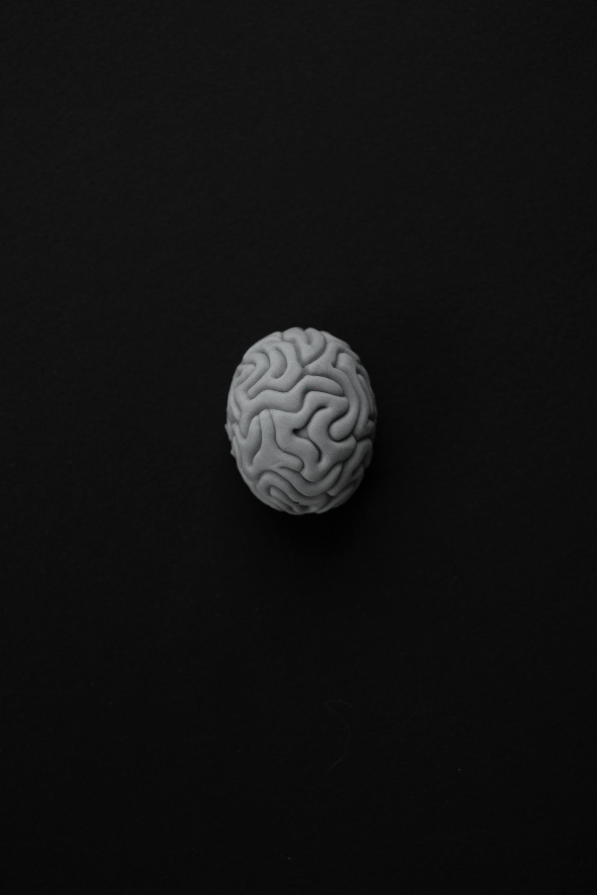 Gray brain sculpture centered on a black background.