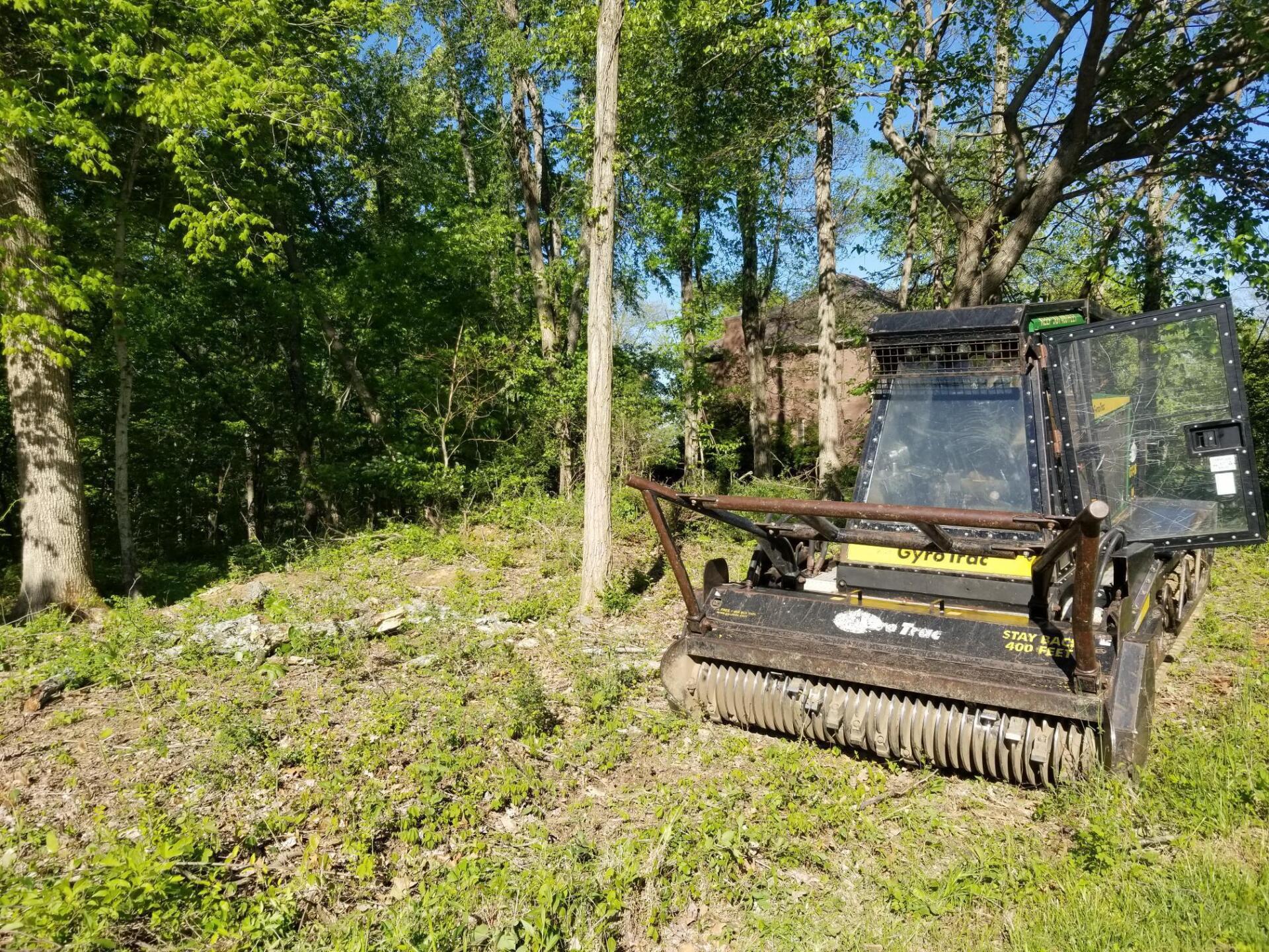 A brush cutter machine clearing overgrown vegetation in a wooded area.
