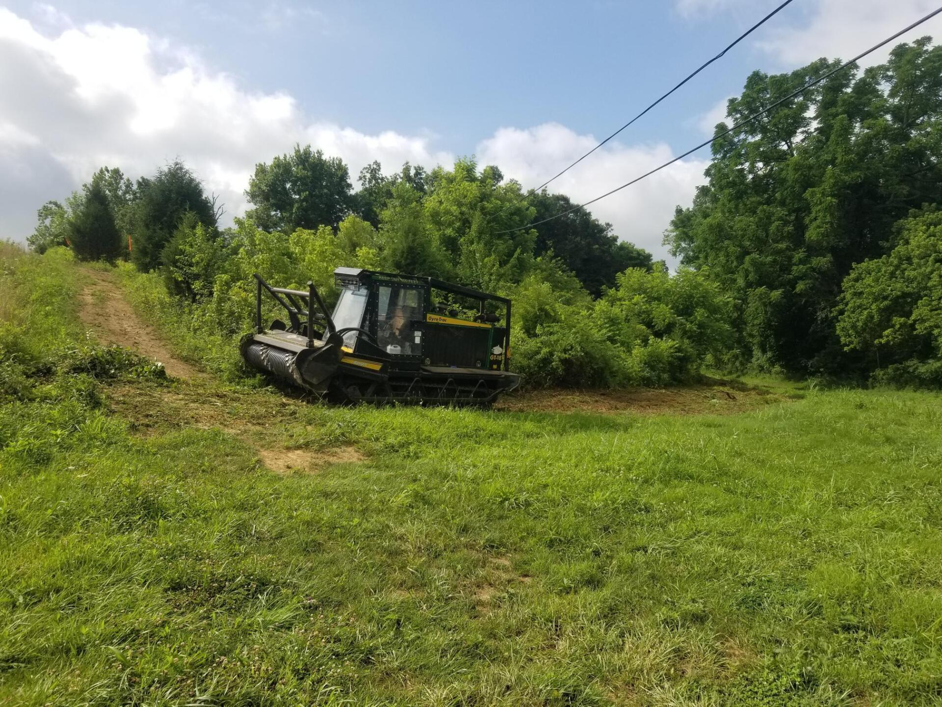 A tracked machine clearing brush in a grassy field, under power lines and a partly cloudy sky.