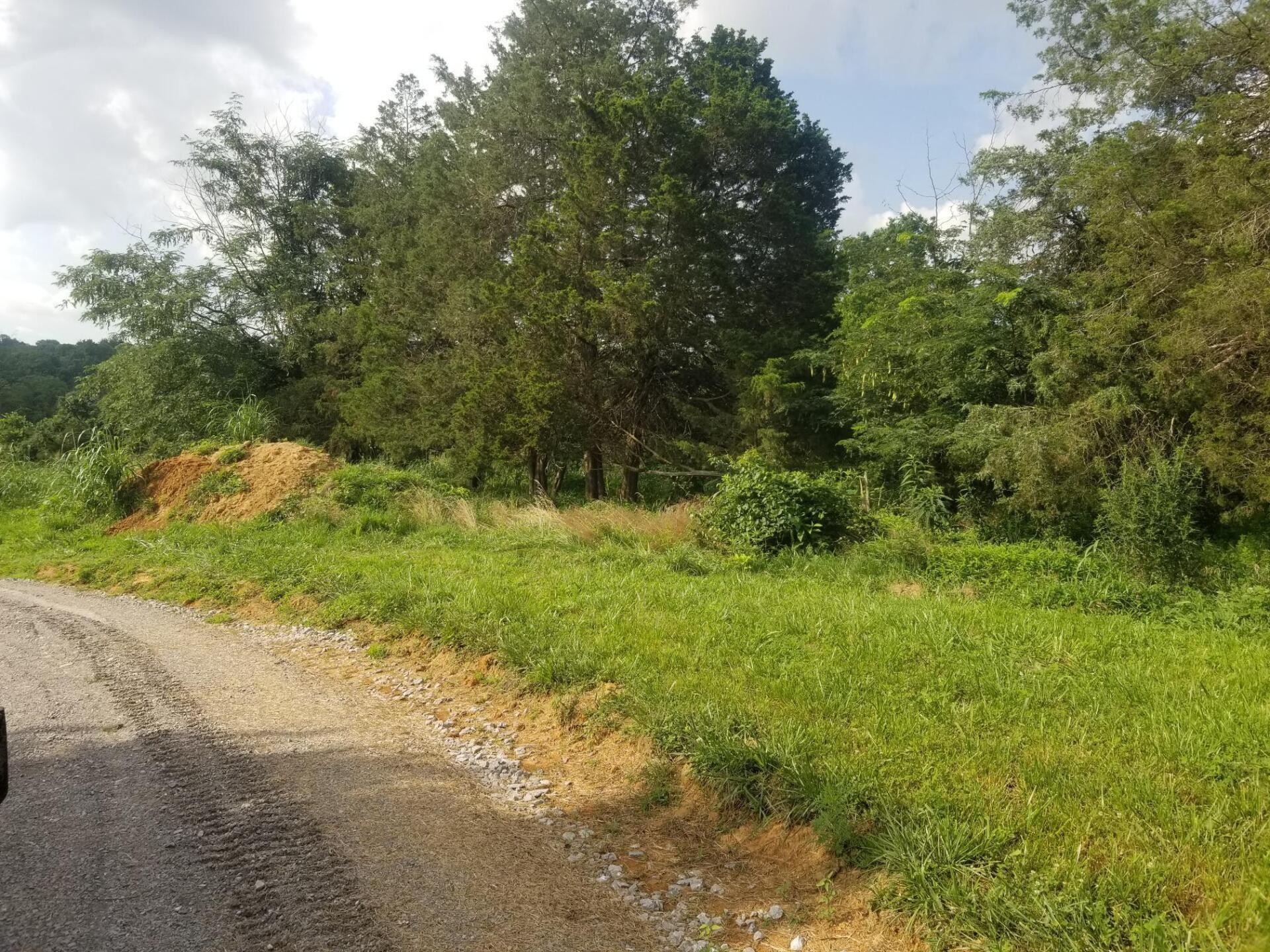 Gravel road curving left through green field, leading to trees under cloudy sky.