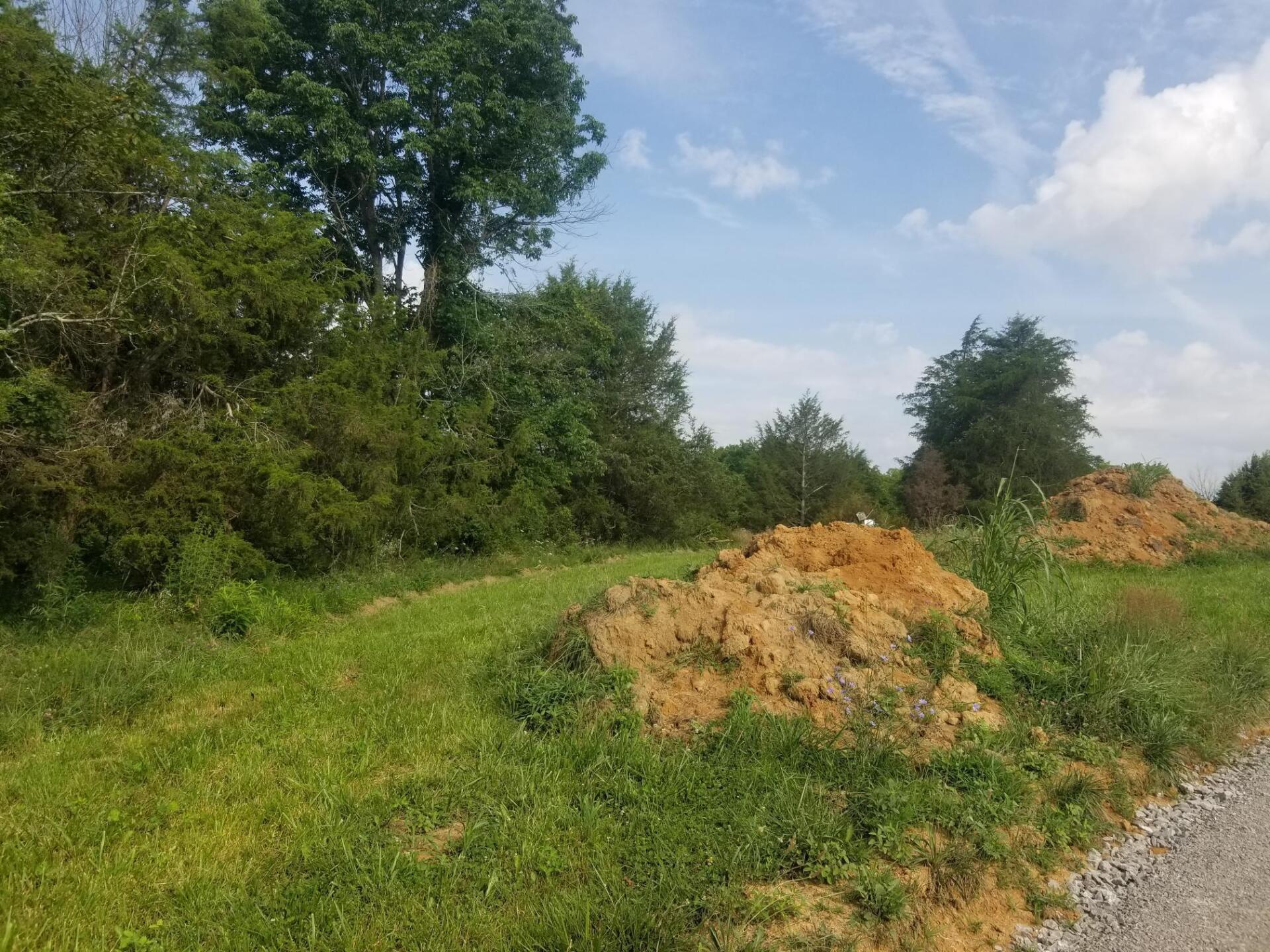 Green field with dirt mounds and trees under a blue sky with clouds.