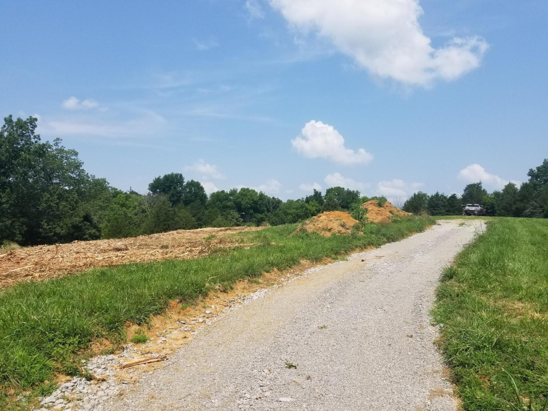 Gravel road curves through grassy field toward trees and small building under a blue sky.