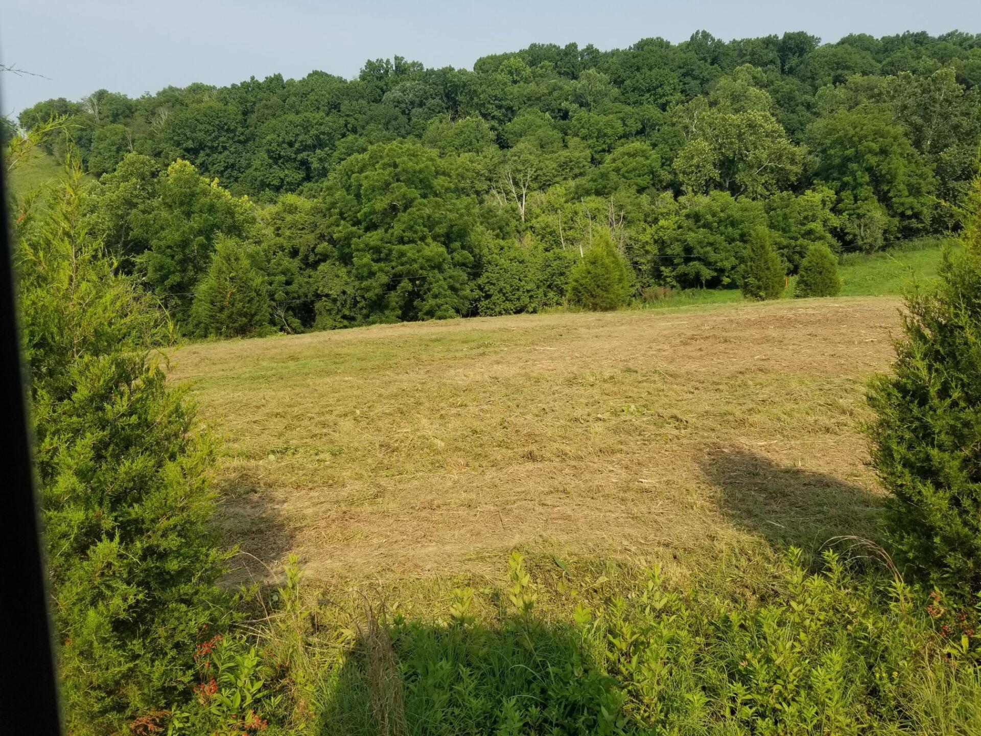 A mowed field in front of a dense green forest under a blue sky.