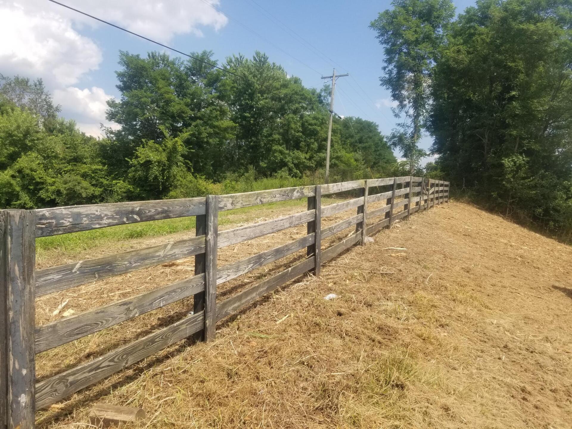Fence Row Clean up