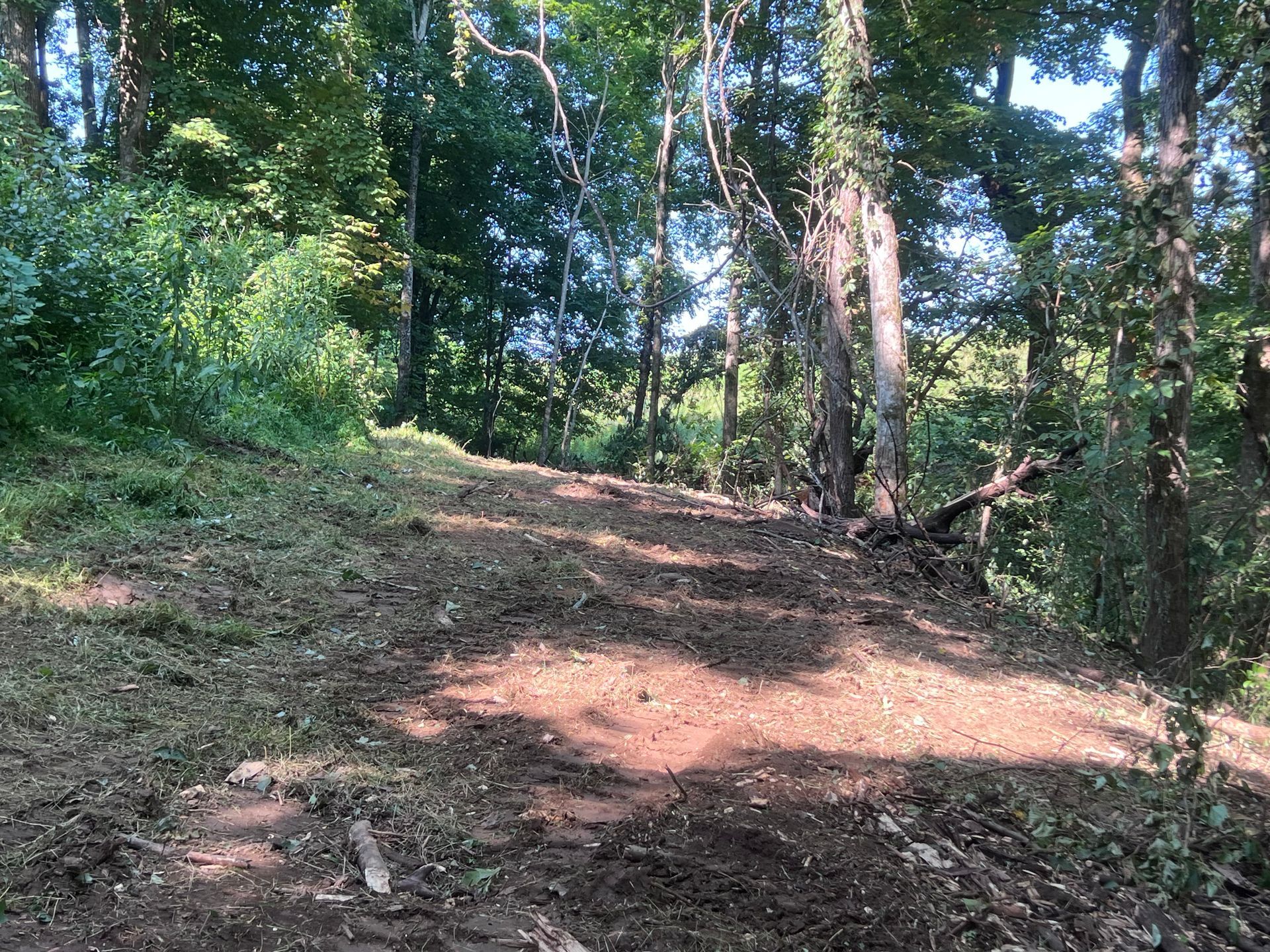 Forestry mulching in progress