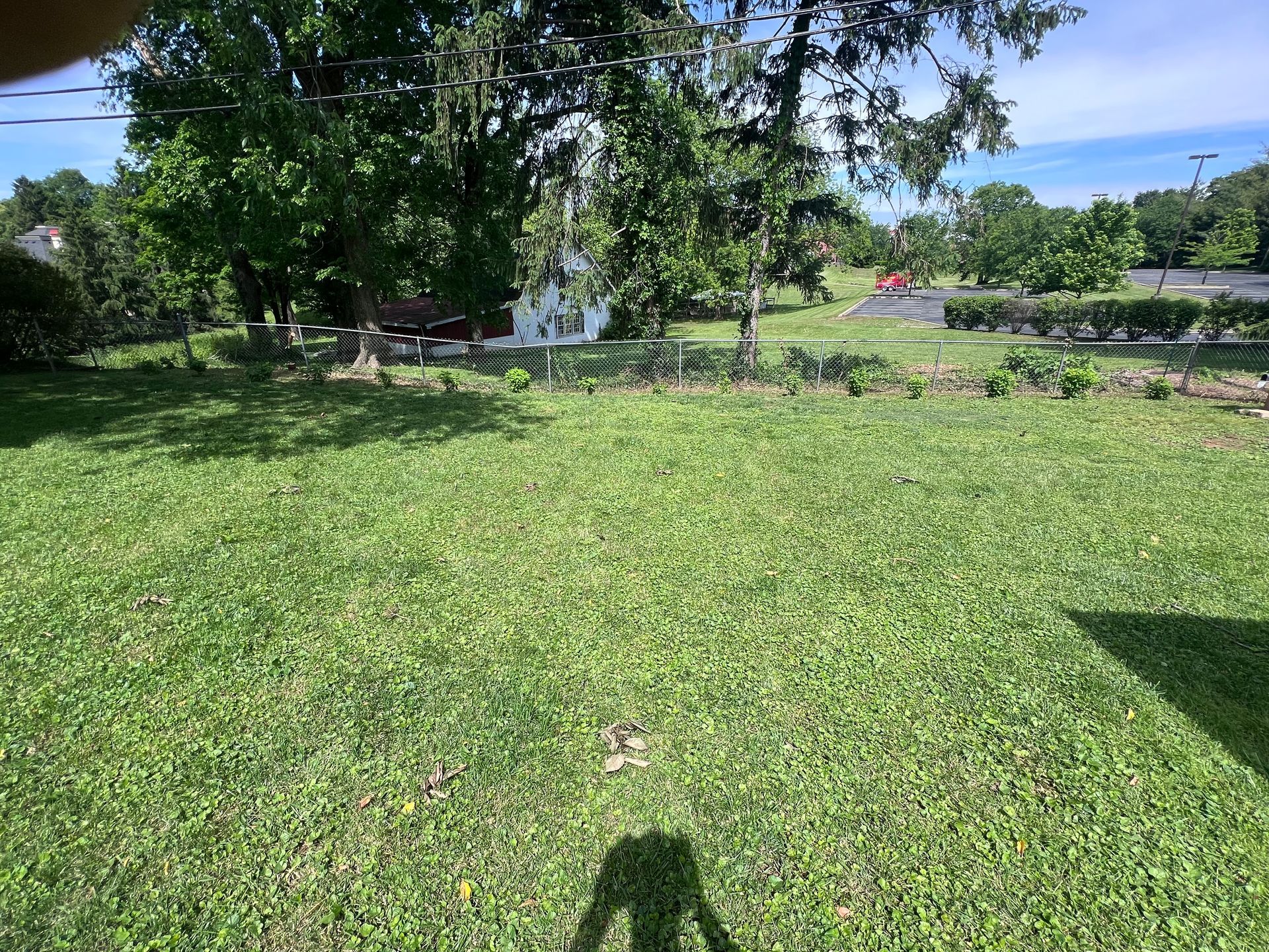 Cleared fence line after brush removal