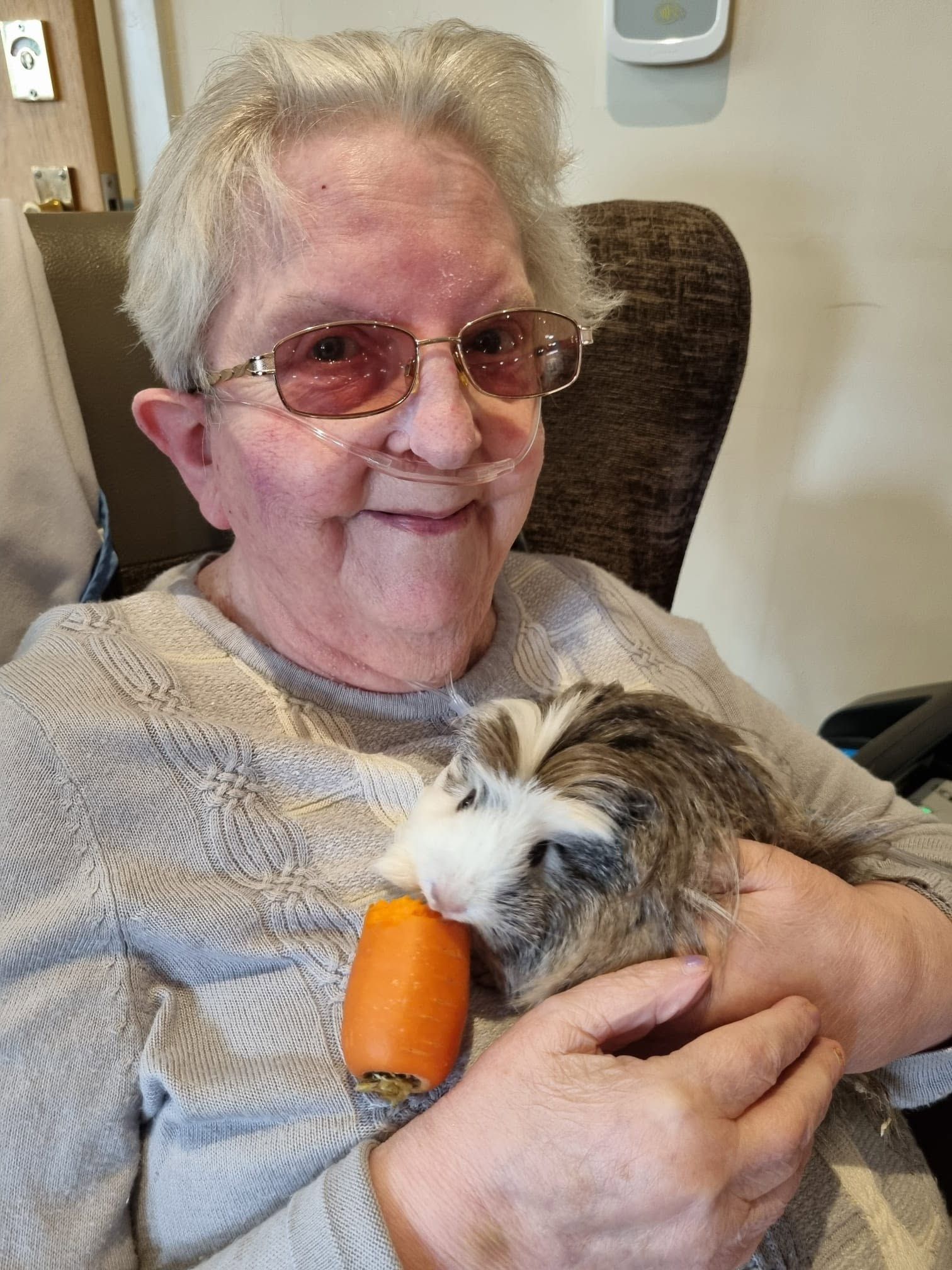 Older woman smiling and holding a guinea pig eating a carrot indoors