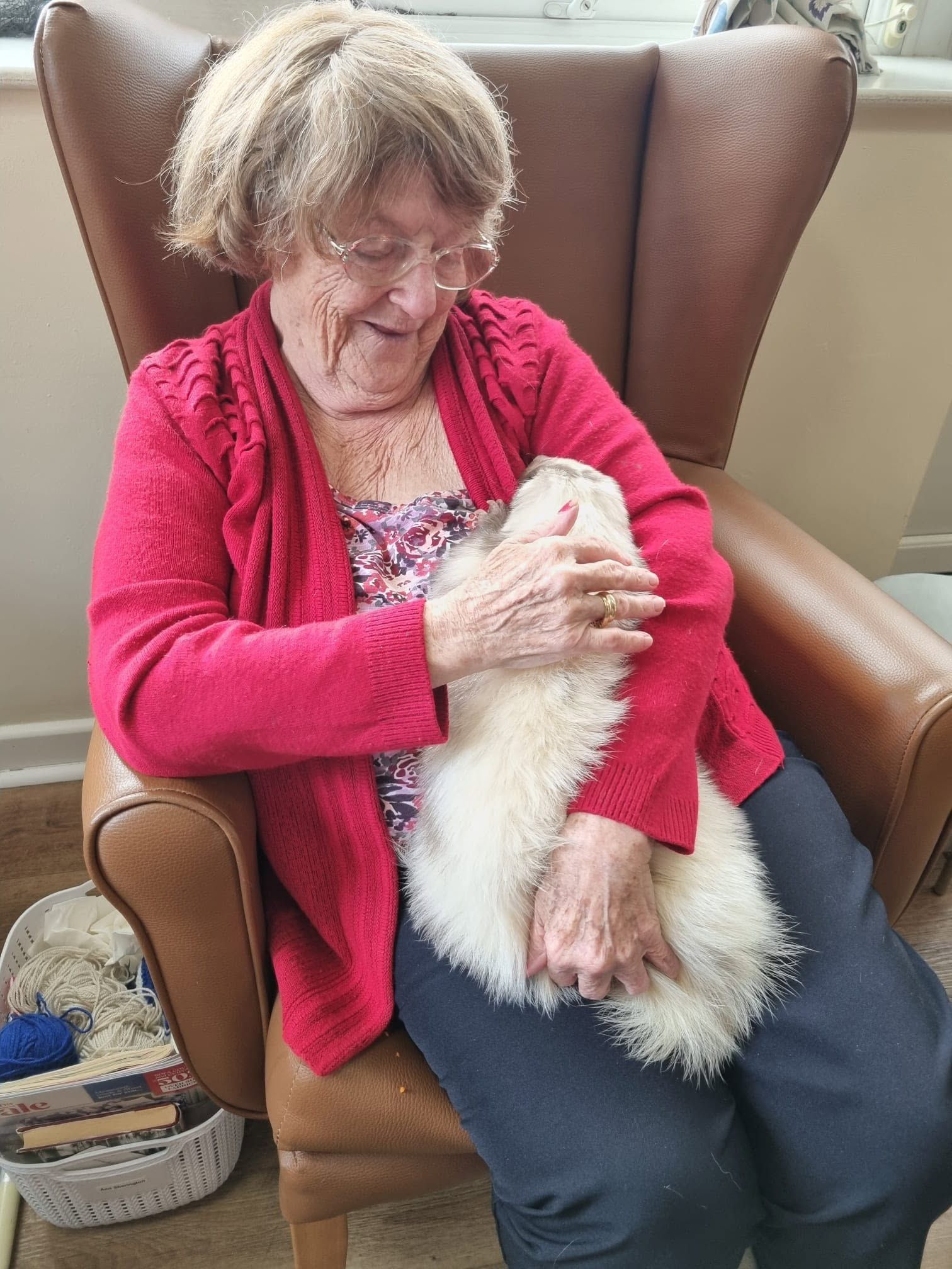 Older woman in a red cardigan gently holding a white cat while seated in a brown armchair.