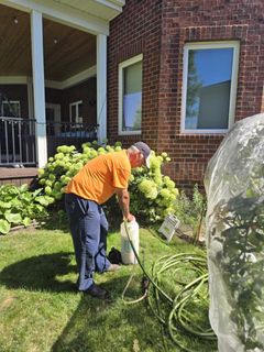 Man mowing a lawn; gray shirt with company logo, navy shorts, street and truck in background.