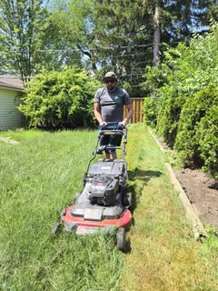 Man trimming overgrown tree in backyard with wooden fence.