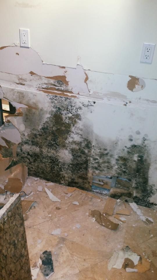 Moldy wall and floor damage in a kitchen area with exposed drywall and debris.