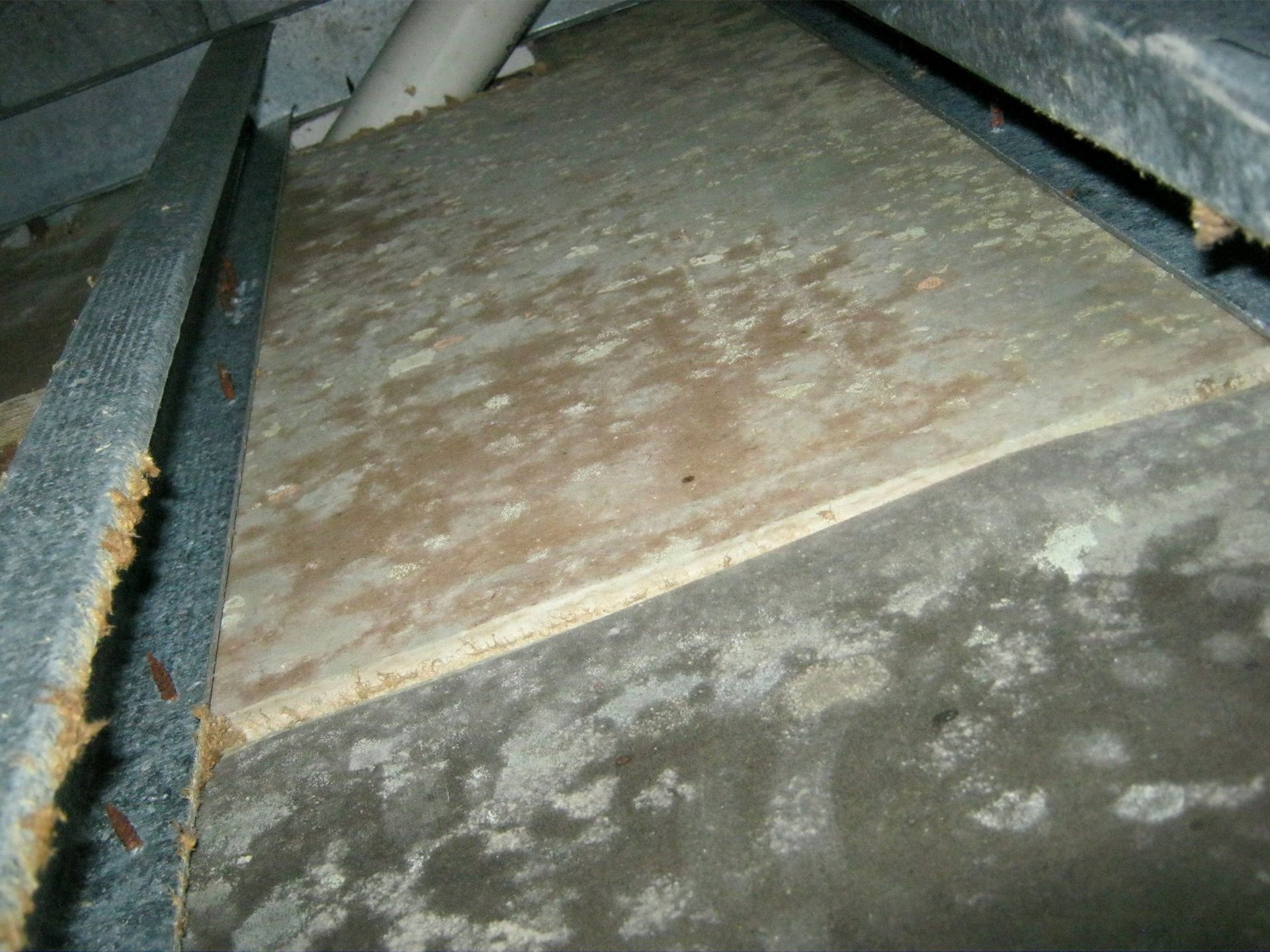 Wooden panel with white and brown discoloration, possibly mold, in an enclosed space with metallic structures.