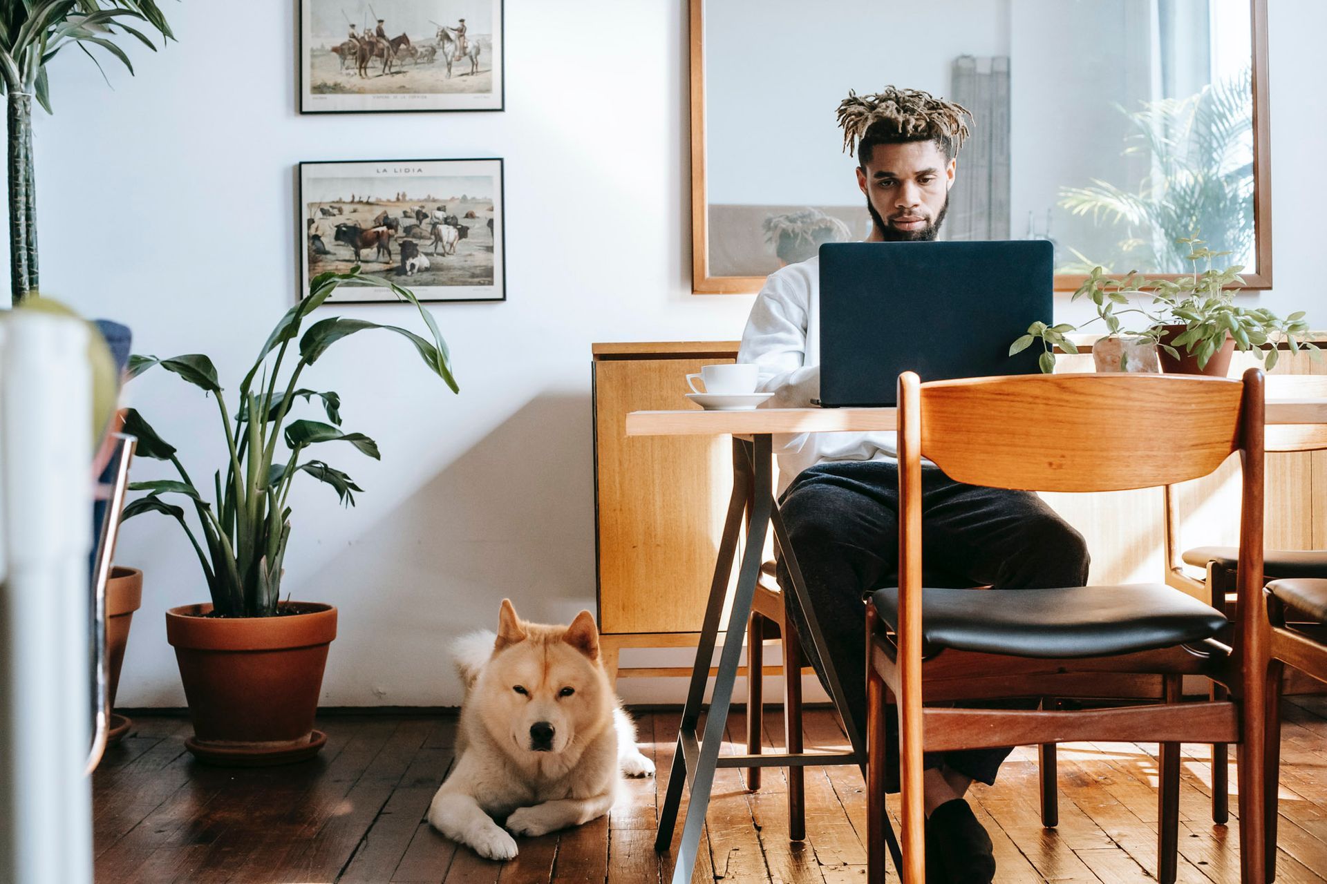 Man seated at a desk using a laptop in a bright room, with a dog lying on the floor nearby.