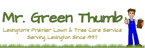 Mr Green thumb logo