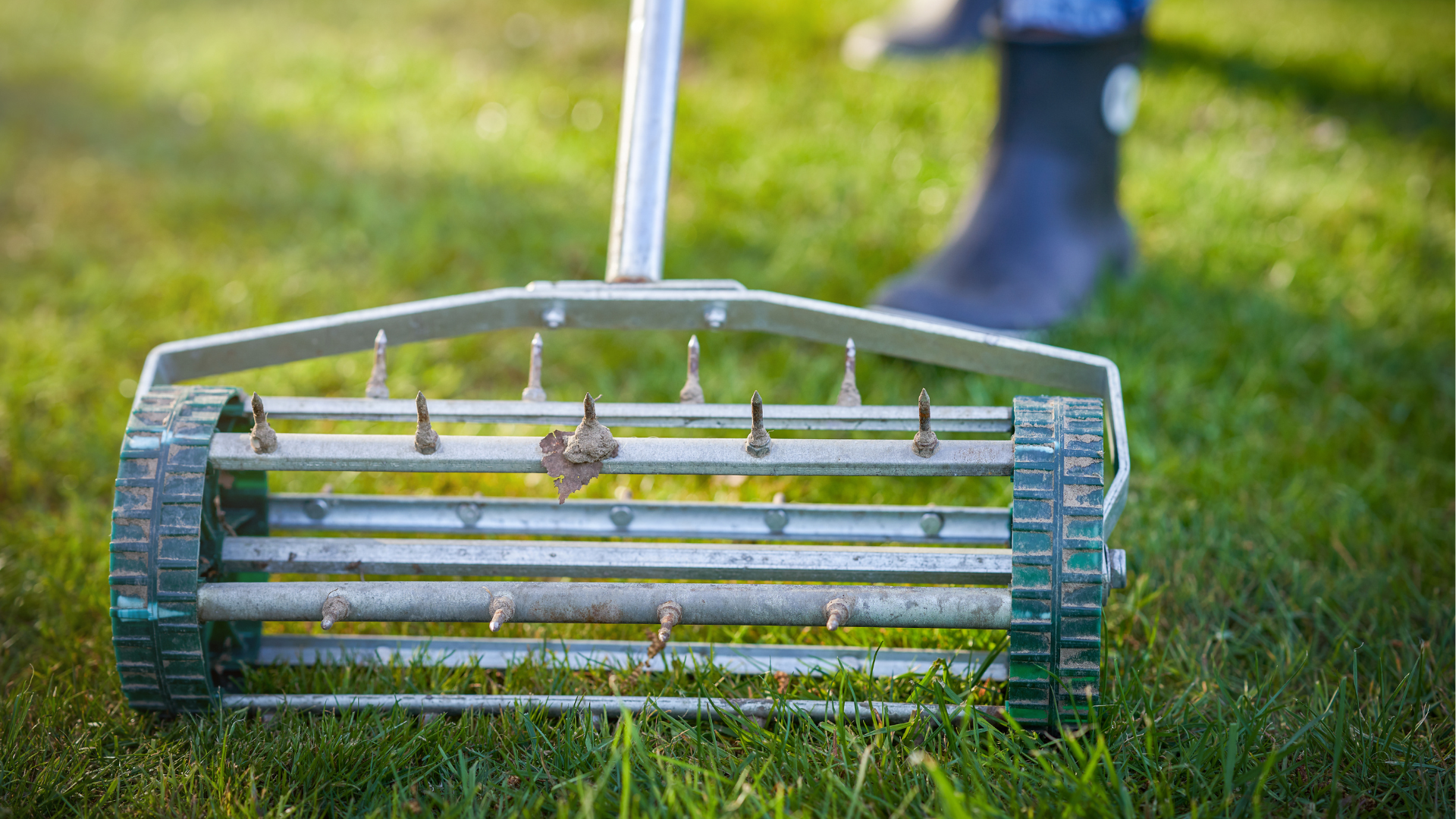 seedlings and aeration