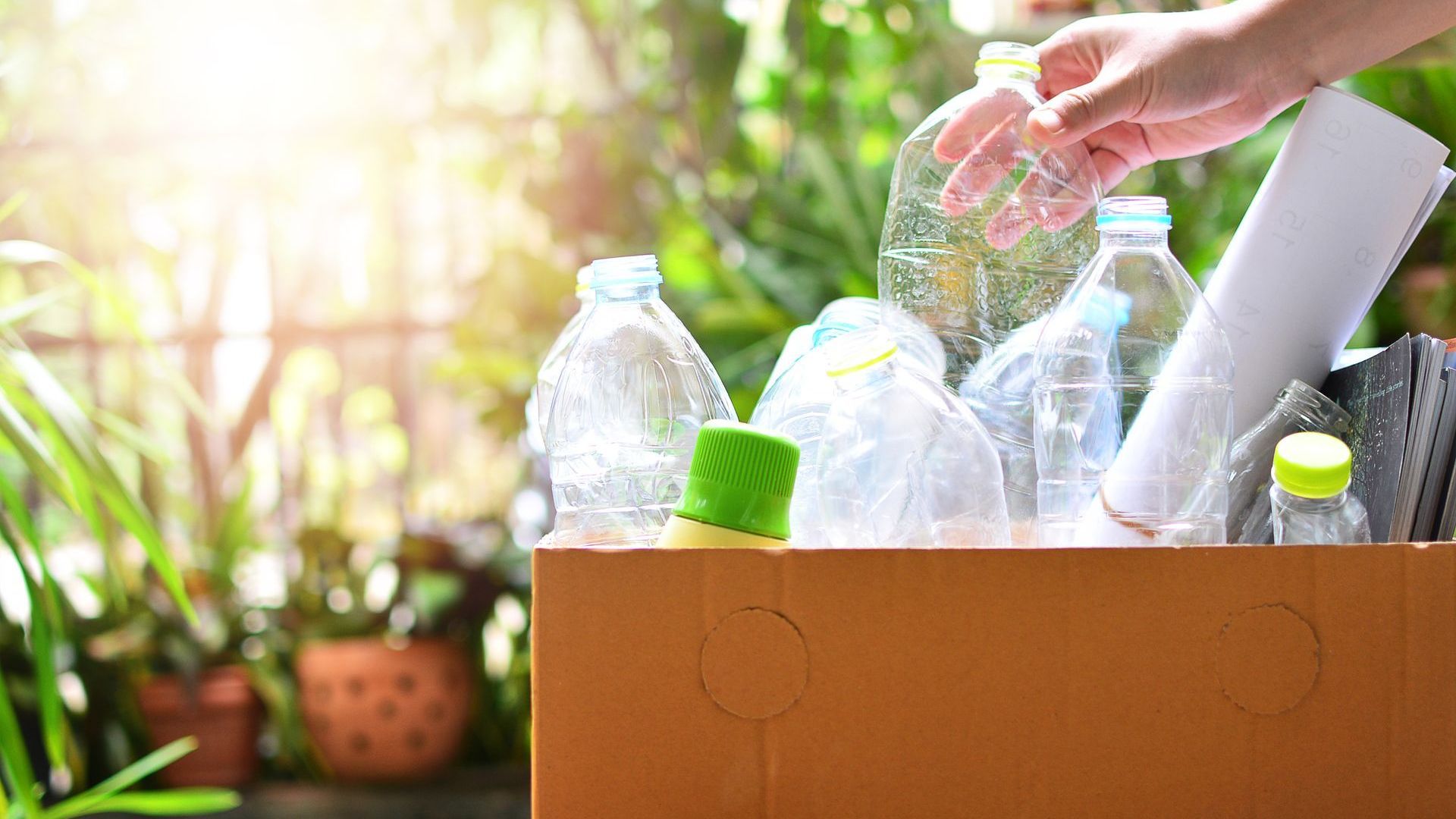 recycle bottles
