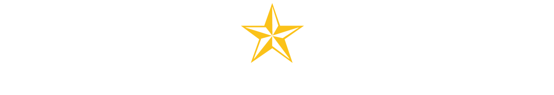 Gold Star Investments Logo in White in Footer - linked to home page