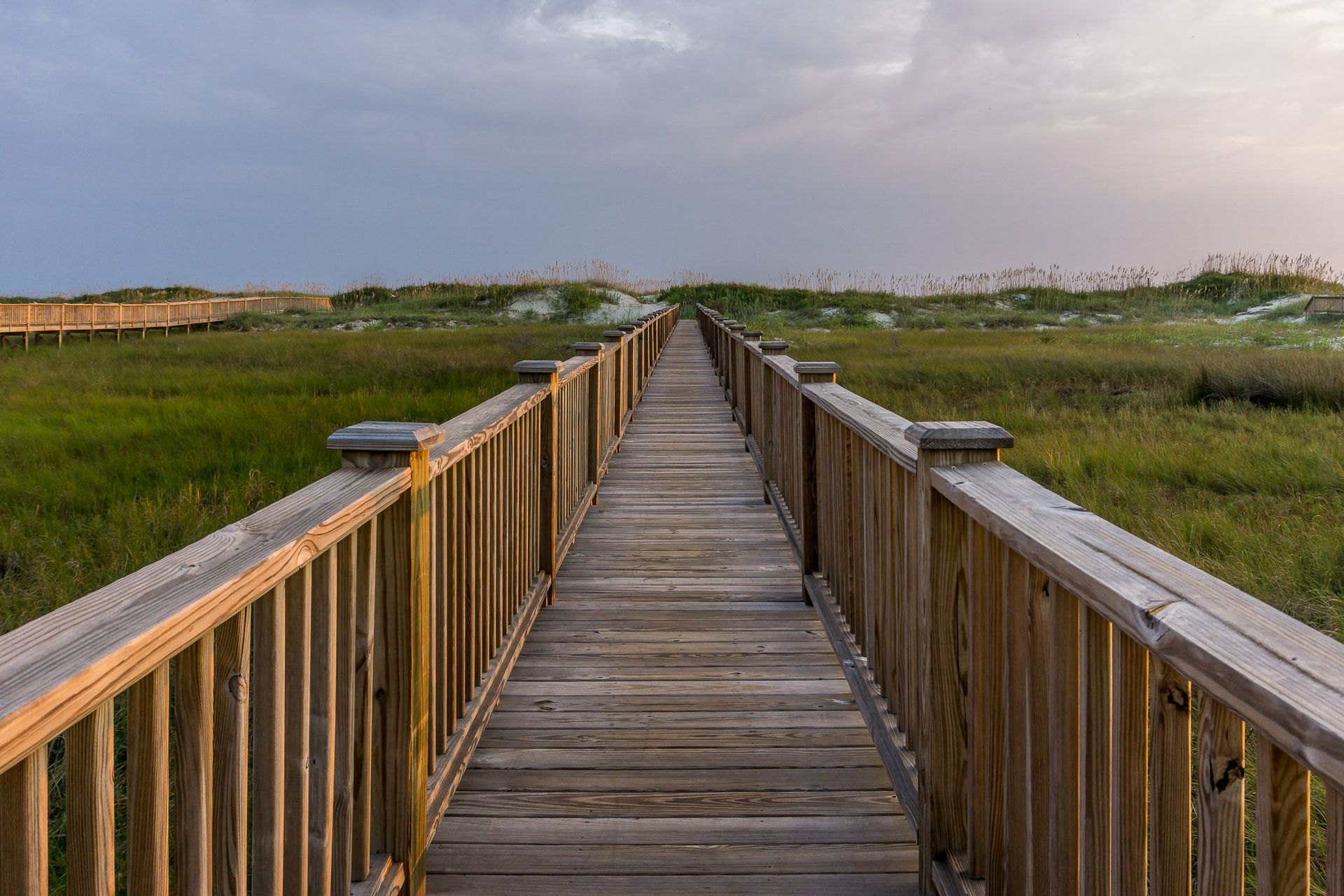 Wooden boardwalk stretching through green marshland under a pale sky
