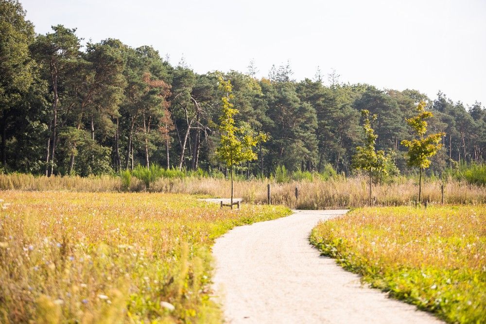 Natuurbegraafplaats Heidepol in Arnhem