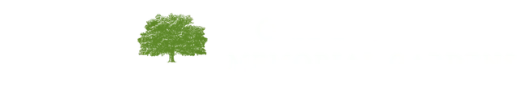 logo-image