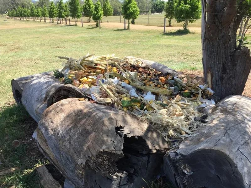 A Large Log Filled With Food Is Sitting Under A Tree In A Park — Party Bins Pty Ltd In Landsborough, QLD