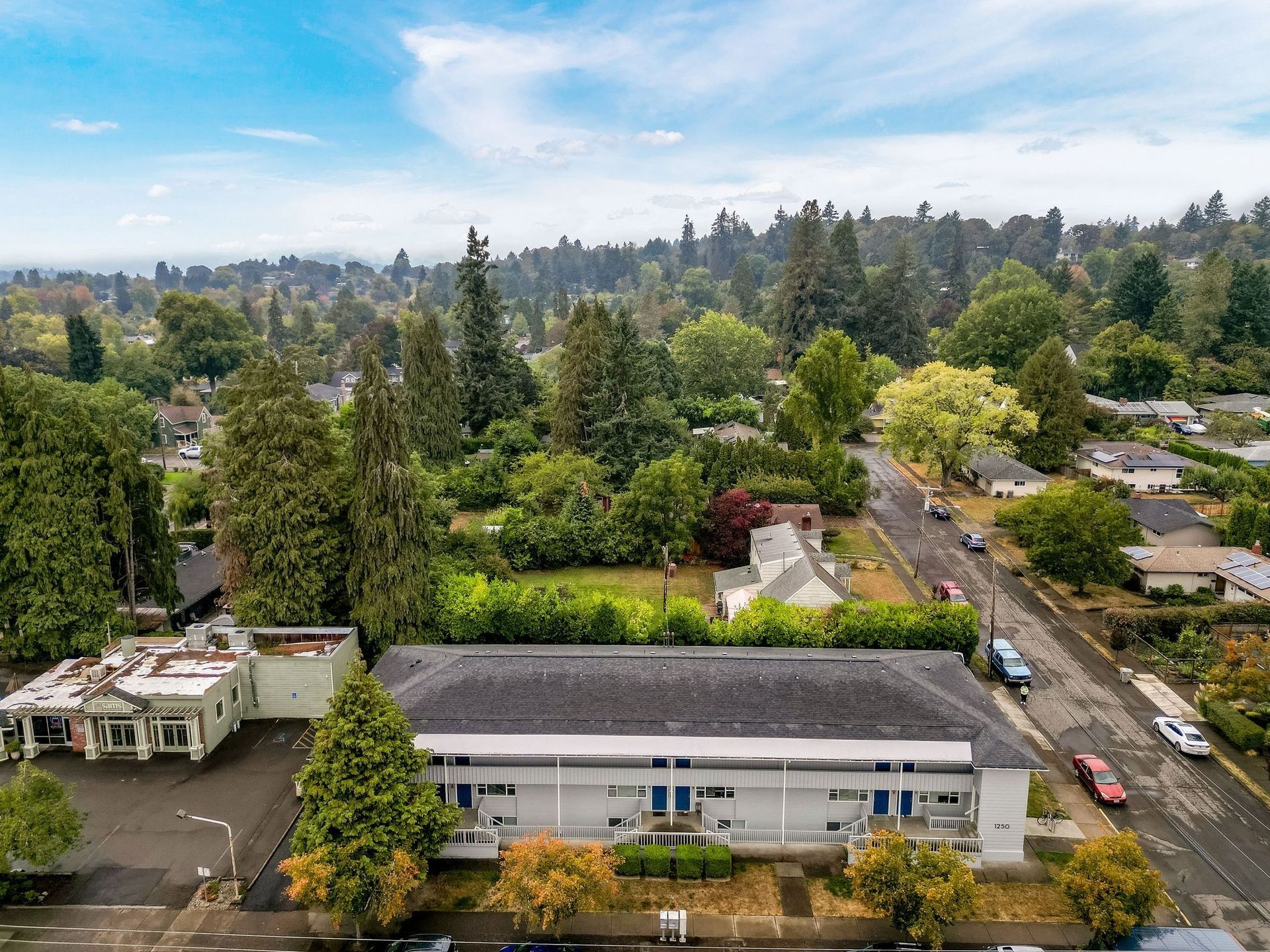 Aerial view of a leafy suburban neighborhood with houses, trees, and a road