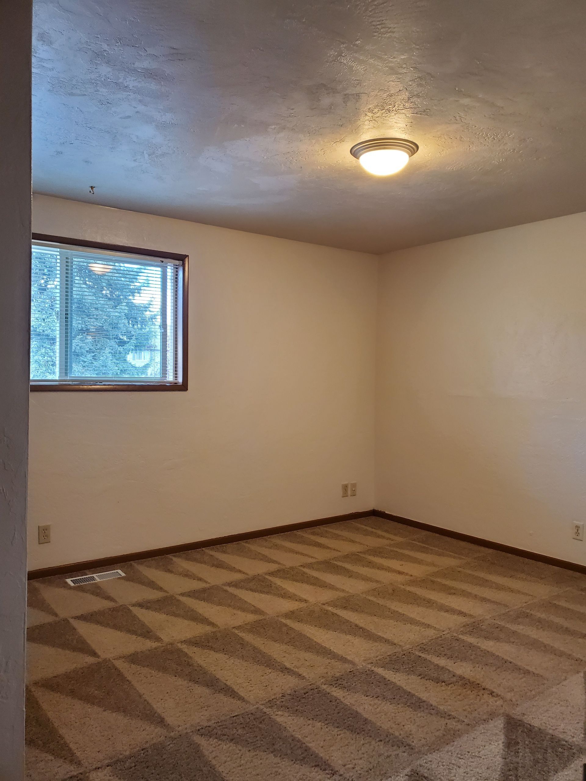 Empty beige room with patterned carpet, window, and ceiling light