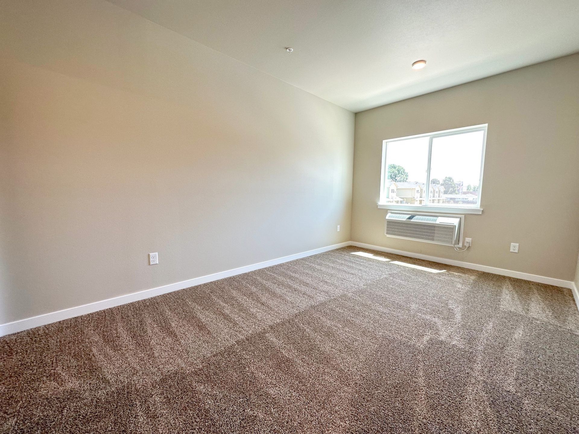 Empty beige bedroom with carpeted floor and a window letting in daylight.