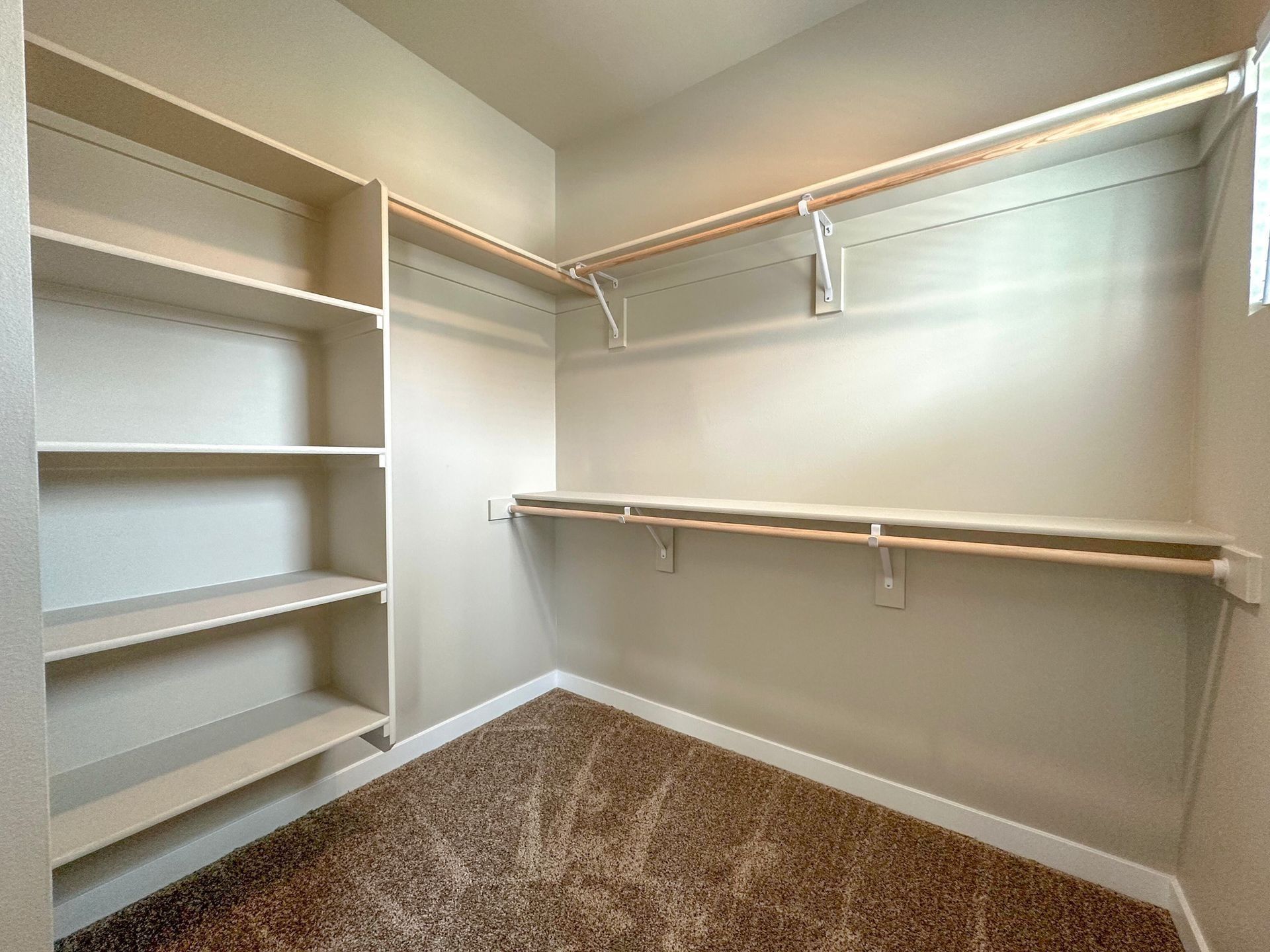 Empty walk-in closet with white shelves, hanging rods, and beige carpet.
