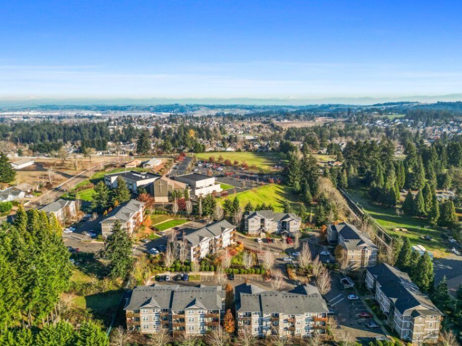 Aerial view of a suburban neighborhood with houses, trees, roads, and distant city skyline under a clear sky