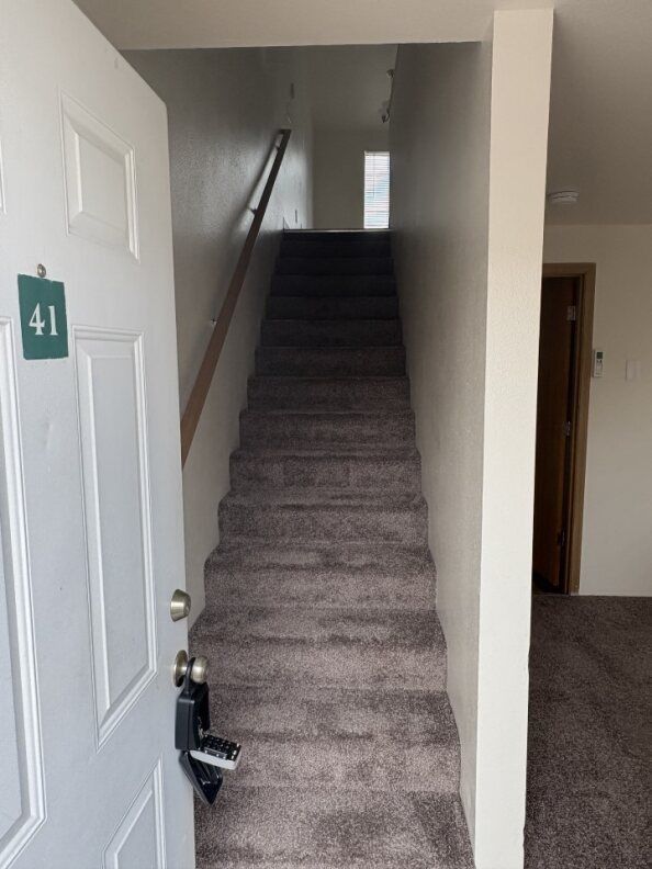 Carpeted apartment stairway viewed from open front door, with handrail and landing window at top.