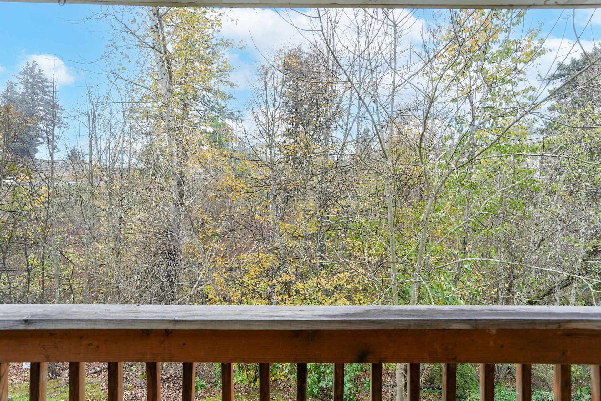 Wooden deck railing overlooking leafless trees and early spring greenery under a blue sky